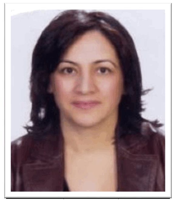 Associate Professor Gülengül MERMER